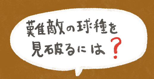 甲子園への遺言　伝説の打撃コーチ 高畠導宏の生涯